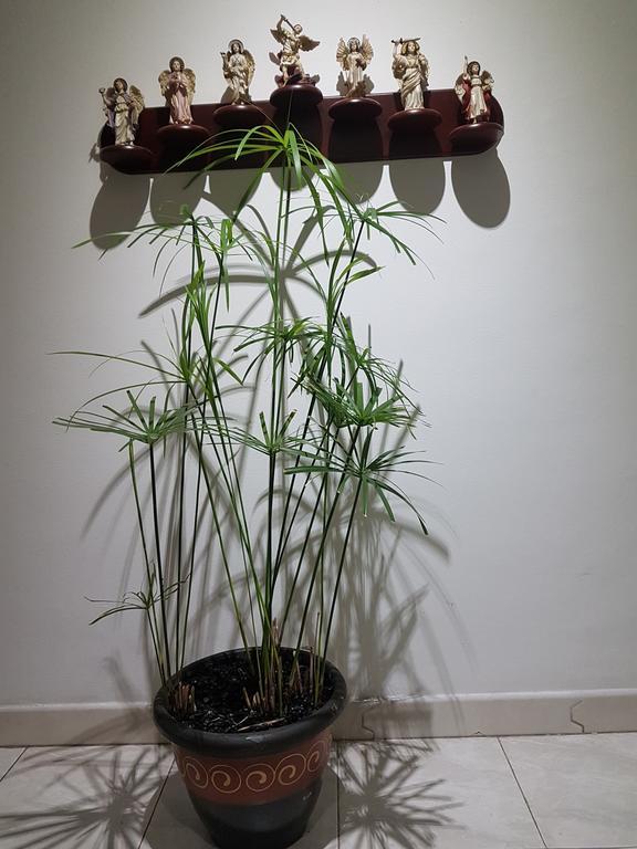 Apartamento Tu Hogar cerca a la zona T Bogotá Exterior foto